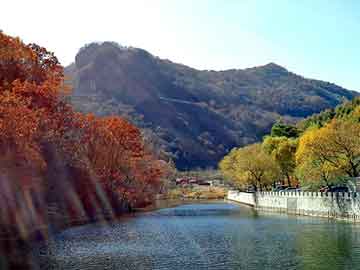 澳门二四六天天彩图库，峡江seo论坛